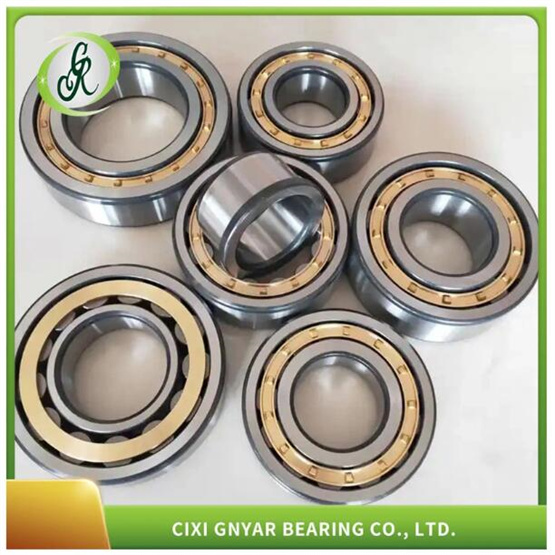 Series Single Row Cylindrical Roller Bearings